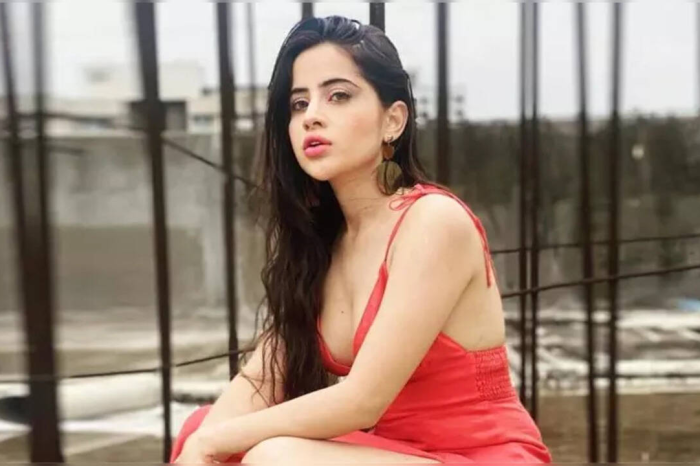 মাকড়সার কামড়ে মুখ ফুলে গেল উরফি জাভেদের, ফের বিপাকে ফ্যাশন আইকন