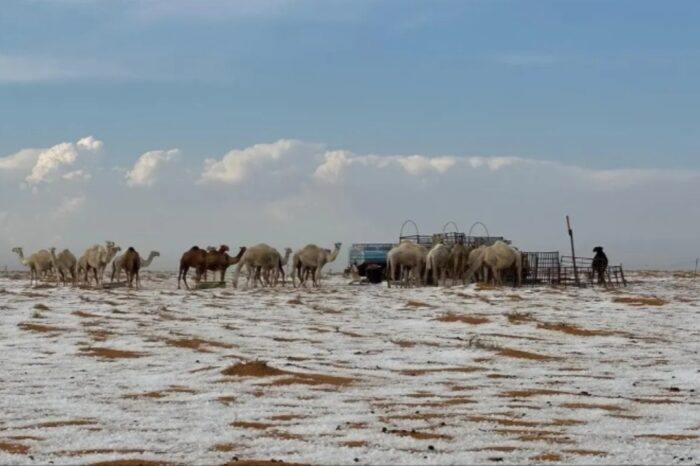 তাপমাত্রা কমে সৌদি আরবের উত্তর ও মধ্যাঞ্চলে তুষারপাত