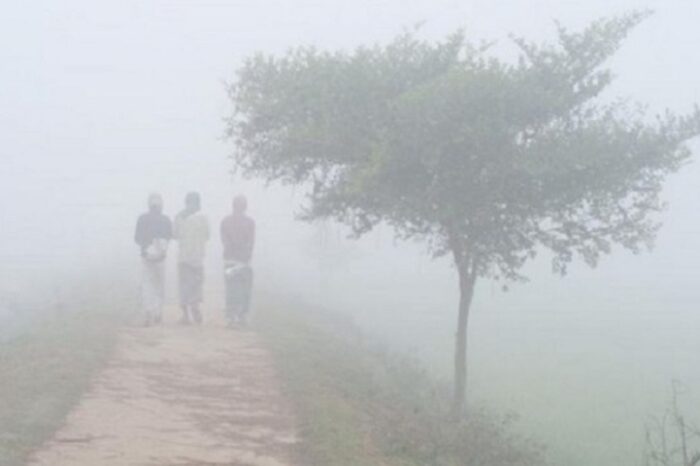 দেশের সর্বনিম্ন তাপমাত্রা উত্তরের জনপদ নওগাঁয়