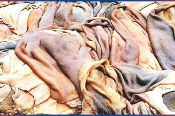 গরুর চামড়ার দাম বাড়ল দুই, খাসির তিন টাকা