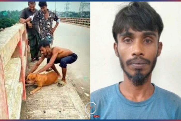 কুকুরকে গলায় ইট বেঁধে নদীতে ফেলে হত্যা, মূল অভিযুক্ত গ্রেফতার